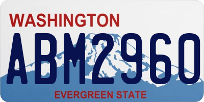 WA license plate ABM2960