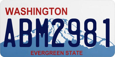 WA license plate ABM2981