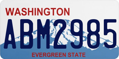 WA license plate ABM2985