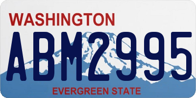 WA license plate ABM2995
