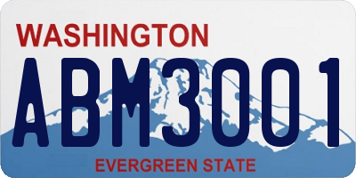 WA license plate ABM3001