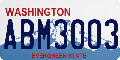 WA license plate ABM3003
