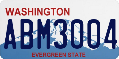 WA license plate ABM3004
