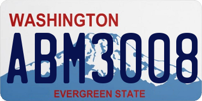 WA license plate ABM3008