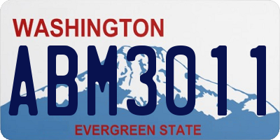 WA license plate ABM3011