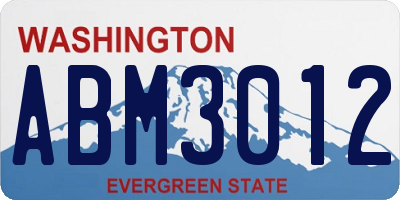 WA license plate ABM3012