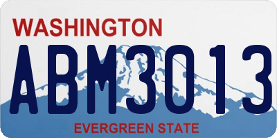 WA license plate ABM3013
