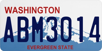 WA license plate ABM3014