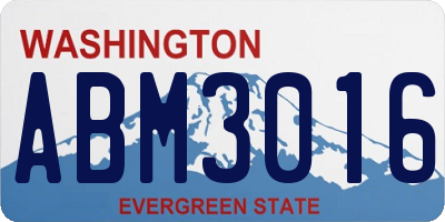 WA license plate ABM3016