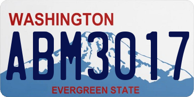 WA license plate ABM3017