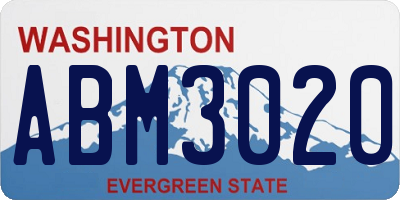 WA license plate ABM3020