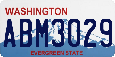 WA license plate ABM3029