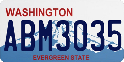 WA license plate ABM3035