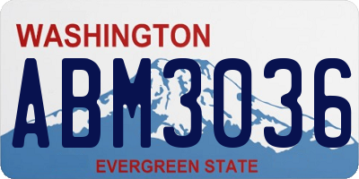 WA license plate ABM3036