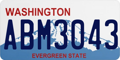 WA license plate ABM3043