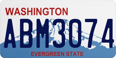 WA license plate ABM3074