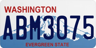 WA license plate ABM3075
