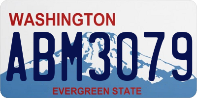 WA license plate ABM3079