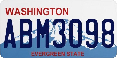WA license plate ABM3098