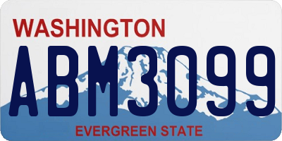 WA license plate ABM3099