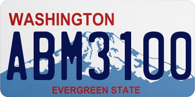 WA license plate ABM3100