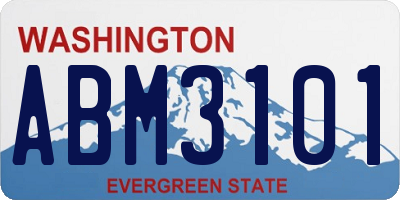 WA license plate ABM3101