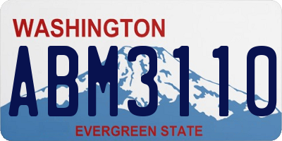 WA license plate ABM3110