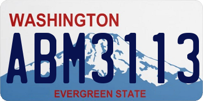 WA license plate ABM3113