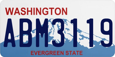 WA license plate ABM3119