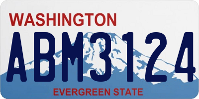 WA license plate ABM3124
