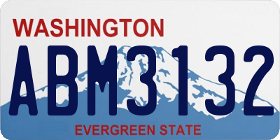 WA license plate ABM3132