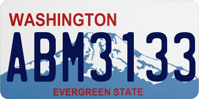 WA license plate ABM3133