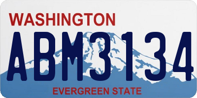 WA license plate ABM3134