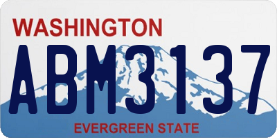 WA license plate ABM3137
