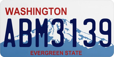 WA license plate ABM3139