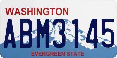 WA license plate ABM3145