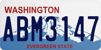 WA license plate ABM3147