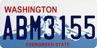 WA license plate ABM3155