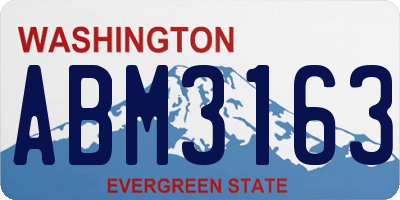 WA license plate ABM3163