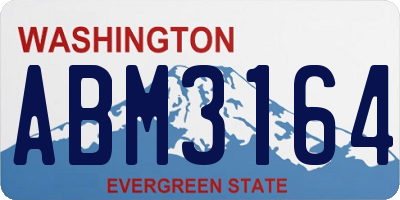 WA license plate ABM3164