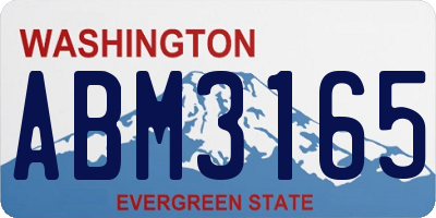 WA license plate ABM3165