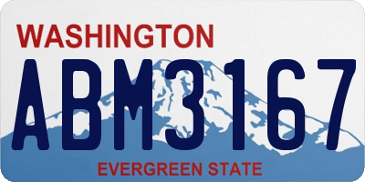 WA license plate ABM3167