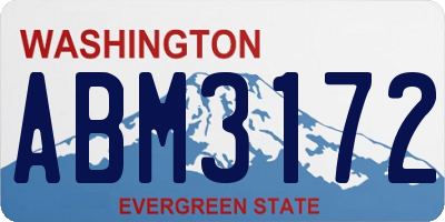 WA license plate ABM3172