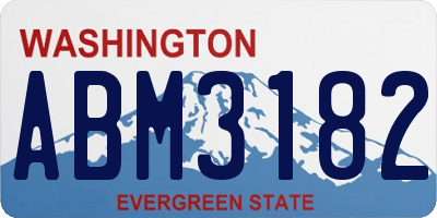 WA license plate ABM3182