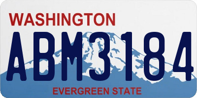 WA license plate ABM3184