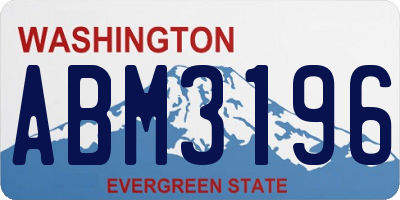WA license plate ABM3196
