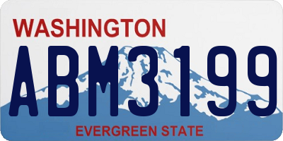 WA license plate ABM3199