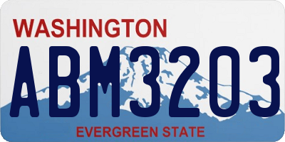 WA license plate ABM3203