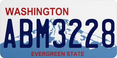 WA license plate ABM3228