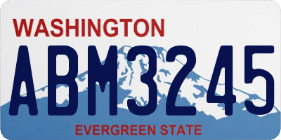 WA license plate ABM3245